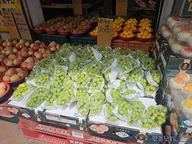 망원동 청과물 거리/사진=유지희 기자