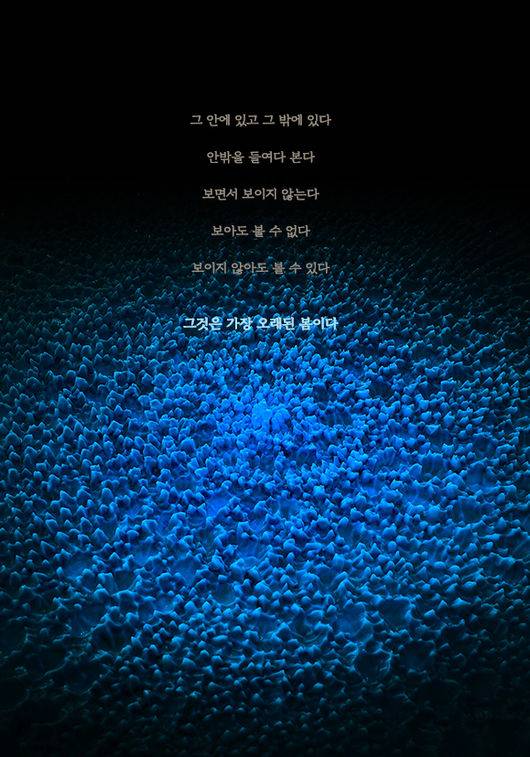 ENTOPTIMA, 별의 기억, Souffle, 아트파크 설치 작품 2025