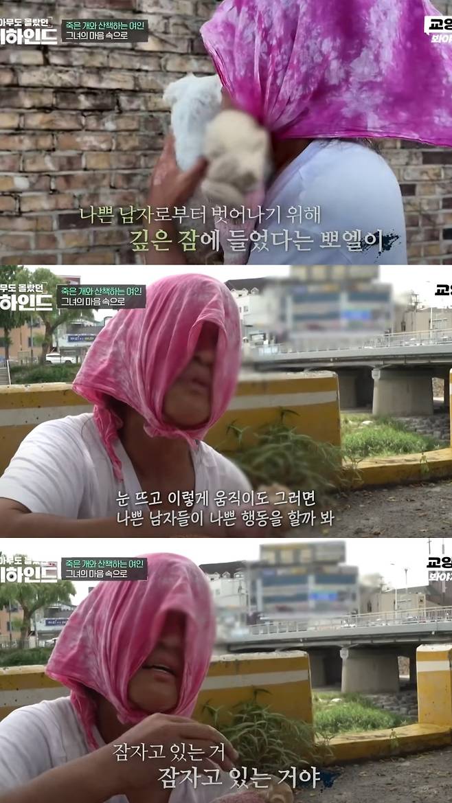 죽은 반려견을 품에 안고 매일 산책을 하는 여성의 사연이 공개됐다. 유튜브 채널 '교양 Voyage' 영상 캡처