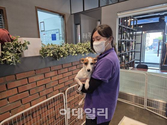 지난 1일 서울 강동구의 유기견보호소 ‘강동리본센터’에서 만난 이가은(24) 주무관이 방울이를 안고 있다. (사진=정윤지 기자)