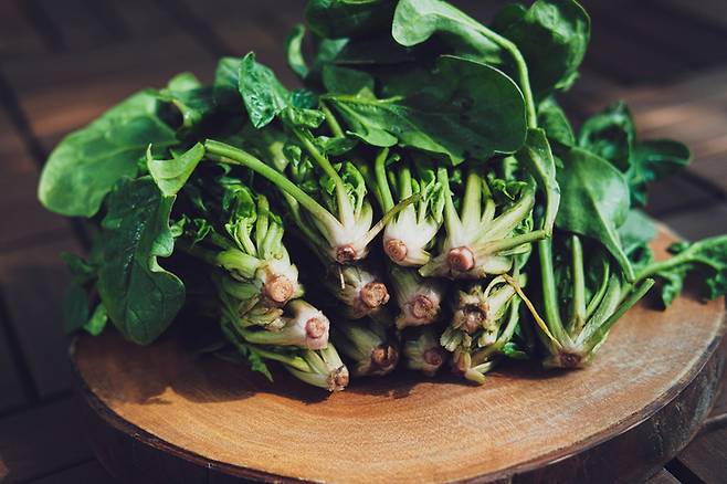 시금치. [사진= 게티이미지뱅크]