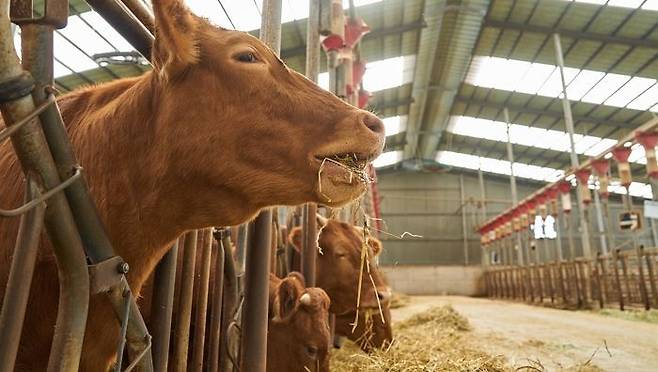 사진은 기사와 직접적 연관 없음 ⓒ게티이미지뱅크