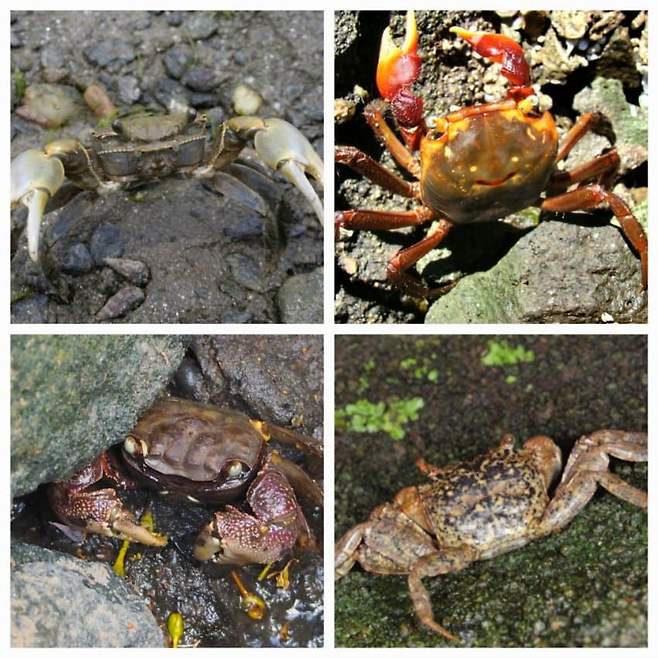 3fb8c32fffd711ab6fb8d38a4083746f74693431cf53e44f18767b99f5acd4b3e2892c2a40cf48ab4e8ef92f