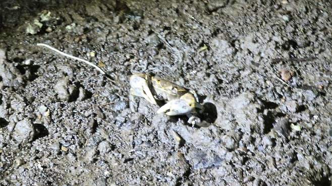 3fb8c32fffd711ab6fb8d38a4781766d4f6442d5c1b311f000e62323eb1e85ed5c1d0f003c4908b5558fe07222