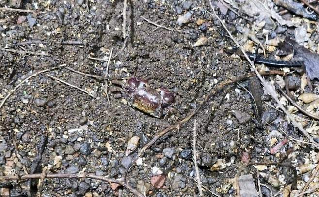 28b9d932da836ff33dec80e745827365287989491367d7928fb37c8bd490d727df2b