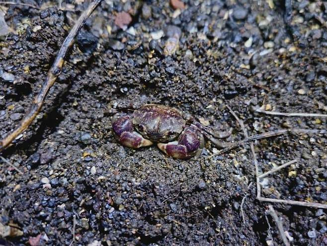 3fb8c32fffd711ab6fb8d38a4784766d5e6bf23ca7c895ba6b084618d2f3b38e4564240373cdab3683f93e3eb1