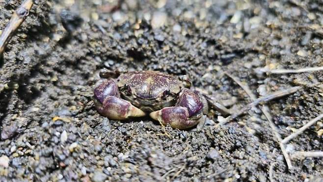 3fb8c32fffd711ab6fb8d38a4789766d8343cc1735b25e7509eaa38dcb889a2d523a5028eaa4374d67b835c76e