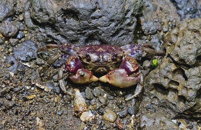 3fb8c32fffd711ab6fb8d38a4788766d4f5ca49dfc4e43ab657fd3203c3f0eeff7a470b1b38009cc261ee3f430