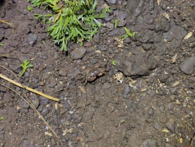 3fb8c32fffd711ab6fb8d38a4486173ecb0183ba18893736f49ecfa6539e8c19af1645df565db56b420568f93b2f67c8686697d5be2d44c1a2314d36368c9d60848a2e49