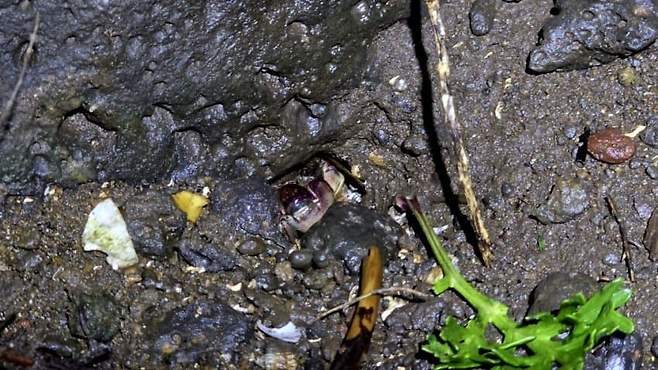 3fb8c32fffd711ab6fb8d38a4489766d8e6eb8b5f43842b5c96bf8aae653424700dbac9af3aa9c5933377385de