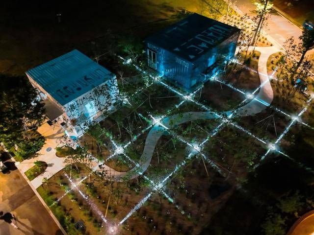 블록체인을 연상하게 하는 두나무의 ‘세컨포레스트: 디지털 치유정원’ 야경 모습.