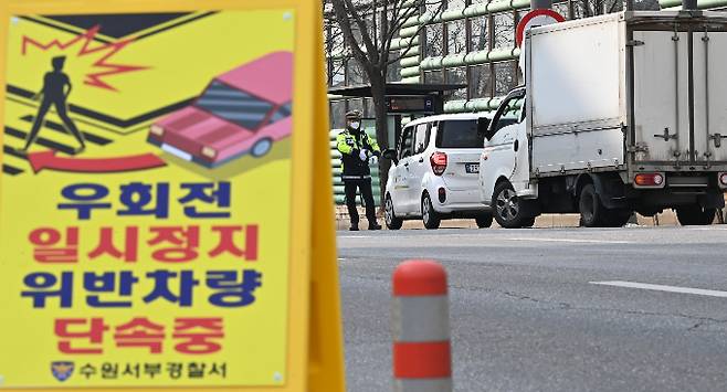 정치권을 비롯한 관계 부처 및 학계 등은 25일 상습 법규위반 근절을 목표로 세미나를 개최했다. 사진은 경기 수원 세류동 한 사거리에서 우회전 시 일시정지 의무 위반 차량을 단속하는 경찰./사진=뉴시스