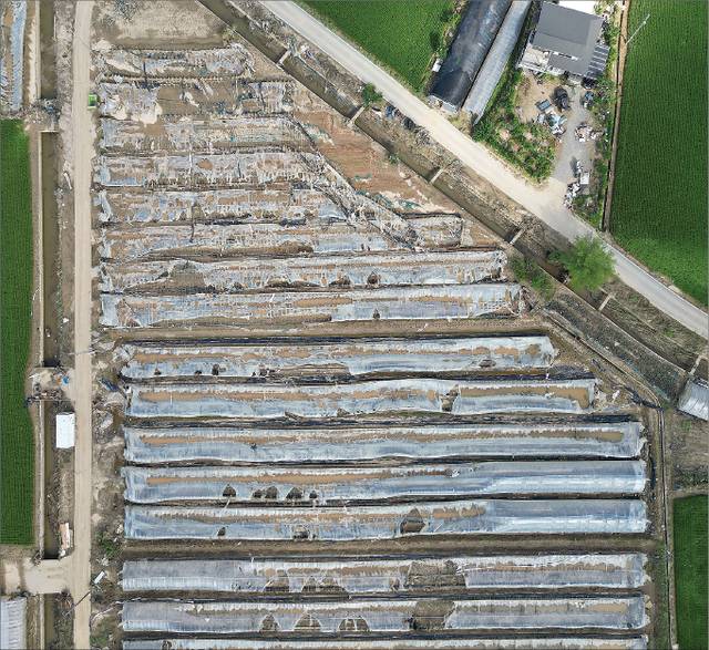 16~17일 쏟아진 극한호우로 침수됐다가 물이 빠지자 참혹한 모습을 드러낸 충남 예산군 삽교읍 시설하우스 단지. 연합뉴스