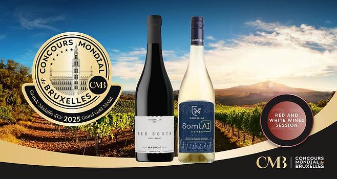 CMB 2025 리벨레이션 와인. 홈페이지