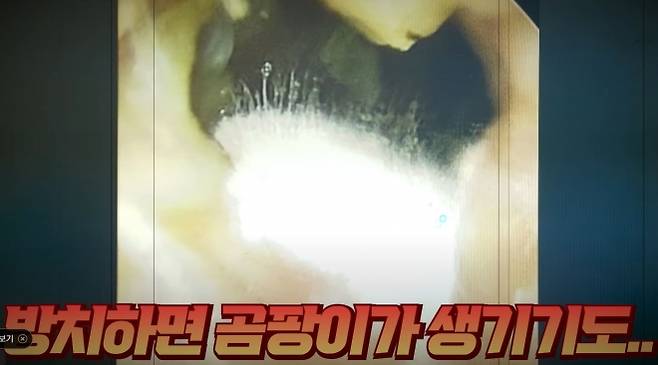 유튜브 ‘지식인사이드’ 캡처