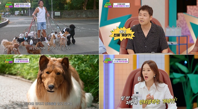 SBS ‘와! 진짜? 세상에 이런일이’ 제공.
