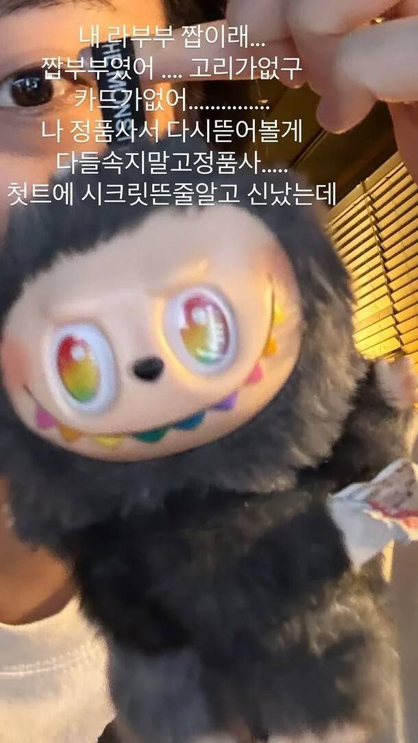 가수 이영지가 공개한 가짜 라부부 인형. 이영지 SNS 캡처