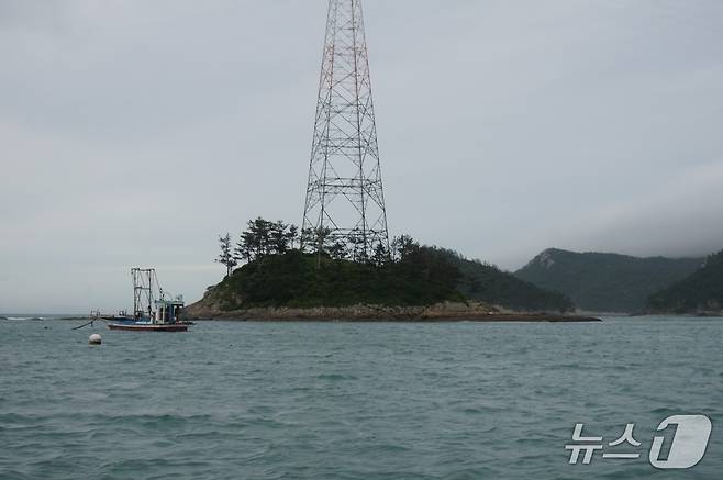 청등도 앞 솔섬.  2025.7.25/뉴스1 ⓒ News1 조영석 기자