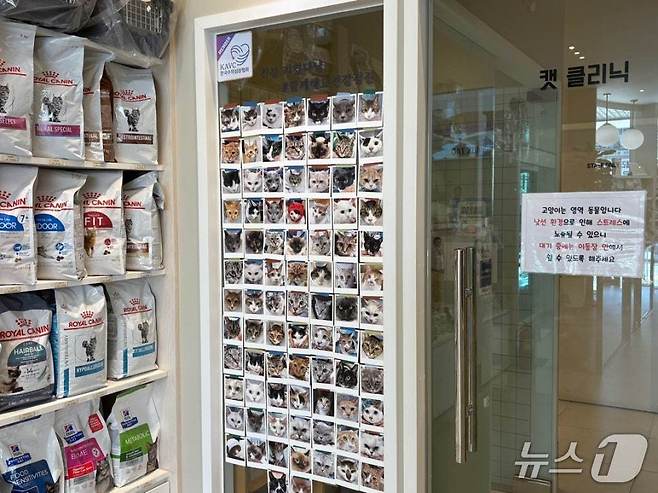원헬스동물의료센터가 국제고양이의학협회(ISFM) 고양이 친화 동물병원 골드 레벨 인증을 획득했다(동물병원 제공). ⓒ 뉴스1