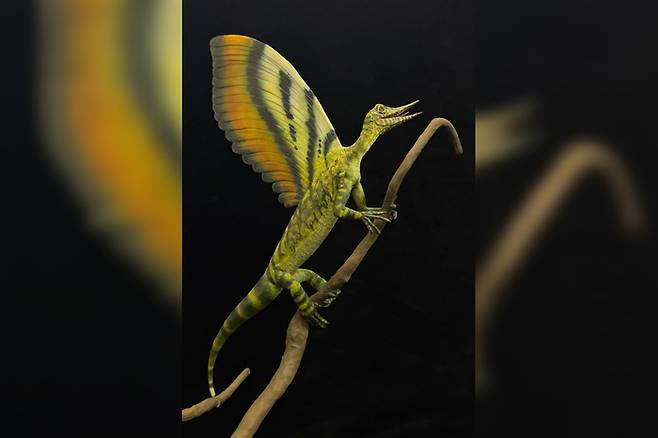 미라사우라 그라우보겔리 상상도. 사진=독일 슈투트가르트 국립 자연사 박물관