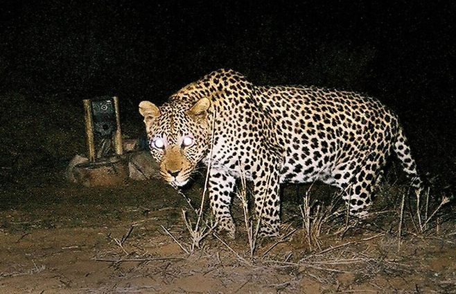 3.png 조선시대 산중살이가 빡센 이유.jpg