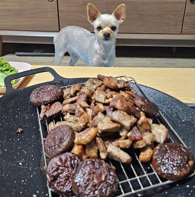 20250725_221335.jpg 저녁 돼지목살 구워 한잔