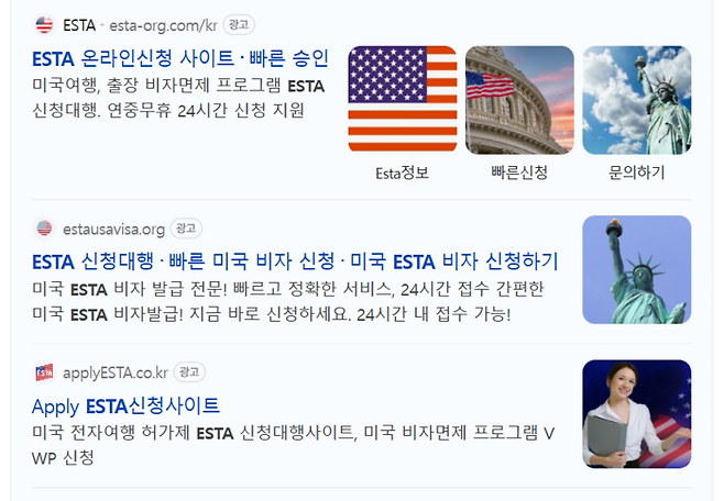 검색하면 줄줄이 뜨는 ESTA 대행 사이트. [사진=캡쳐]
