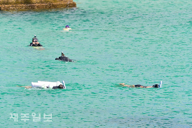 사진은 기사와 관련 없음. 제주일보 자료사진