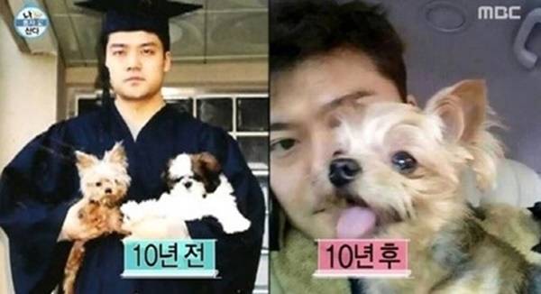 전현무가 반려견 또또와 함께한 시간을 추억했다. [사진=MBC]