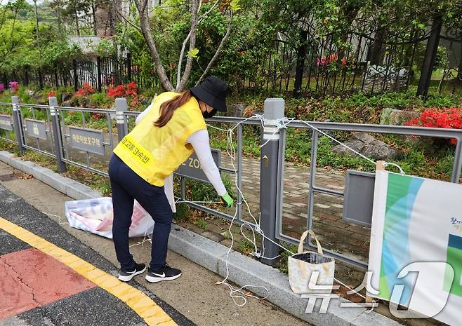 광주시 광고물 단속반이 불법 현수막을 정비하고 있다.(광주시 제공. 재판매 및 DB 금지) ⓒ