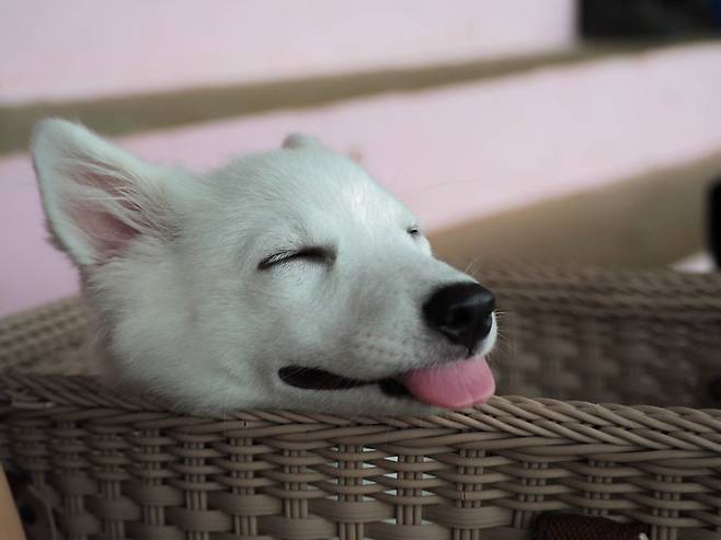 사진=게티이미지