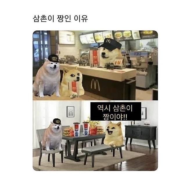 2.jpeg 삼촌들에게 허락된 쾌락.jpg