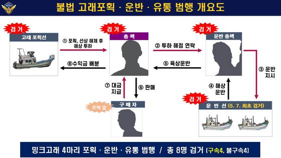 지난 5월 7일 경북 포항시 한 포구에서 적발된 불법 고래 유통 조직의 범행 개요도. 사진 포항해양경찰서