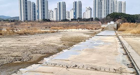 세종보. 김방현 기자