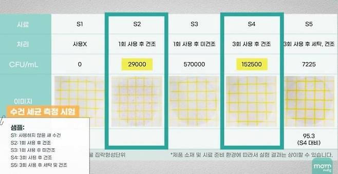 수건 재사용 후 세균 측정 결과 [유튜브 맘가이드]