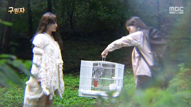 방송 화면 캡처