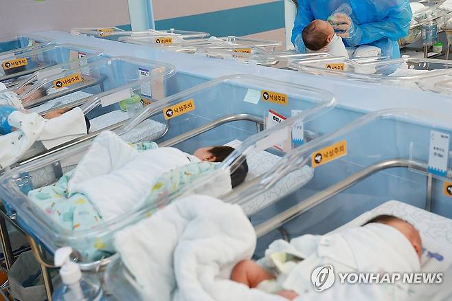신생아들 [연합뉴스 자료사진]