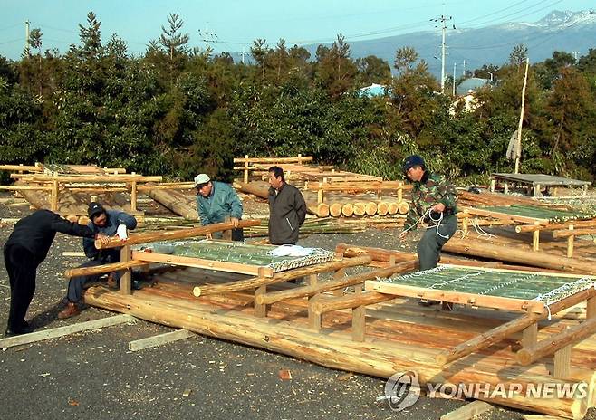 제주 테우 제작 한창 <저작권자 ⓒ 2004 연 합 뉴 스. 무단전재-재배포 금지.>