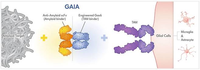 일리미스테라퓨틱스가 개발한 '가이아'(GAIA) 플랫폼 작용 모식도.(일리미스테라퓨틱스 제공)/뉴스1