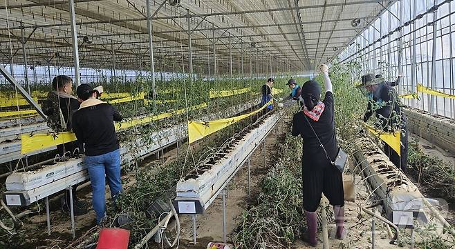 광주·전남 공동혁신도시(나주 빛가람혁신도시)에 입주한 공공기관 임직원들이 주말을 이용해 집중호우로 피해를 입은 나주지역 농가를 찾아 일손돕기를 진행하고 있다. (나주시 제공, 재배포 및 DB 금지)/뉴스1