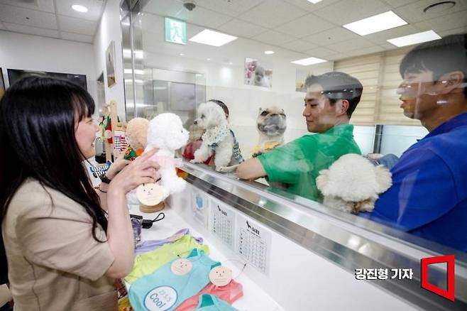 서울 강서구 김포공항 국내선 애견센터에서 반려견 위탁 시설. 사진은 기사의 특정 내용과 관련 없음. 강진형 기자