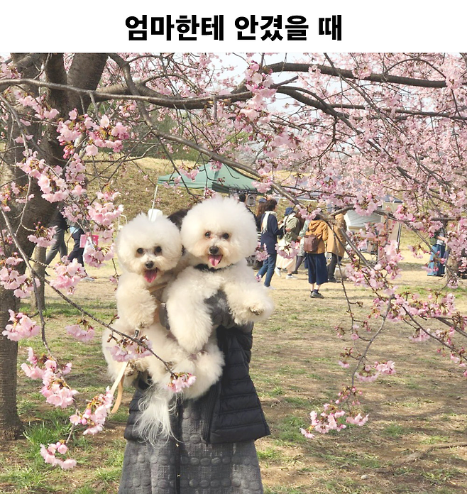 엄마가 안았을 때와 아빠가 안았을 때의 차이