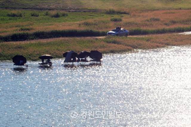 ▲ 지난 27일 폭염 속에 인제군 인제대교 아래에 위치한 소양호 변에서 낚시꾼들이 붕어낚시 삼매경에 빠져 있다.