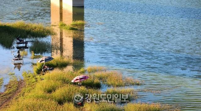▲ 지난 27일 폭염 속에 인제군 인제대교 아래에 위치한 소양호 변에서 낚시꾼들이 붕어낚시 삼매경에 빠져 있다. 이동명 기자