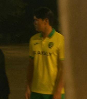 An image initially believed to show Yang Hyun-jun in a Norwich City shirt, now widely believed to be an AI fake, was shared on social media on July 22. [SCREEN CAPTURE]