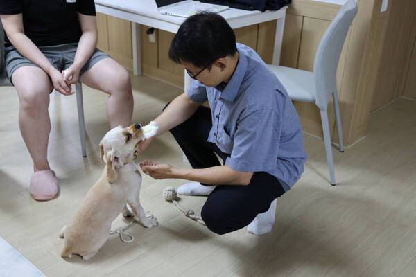 찾아가는 반려견 상담실. 양주시 제공