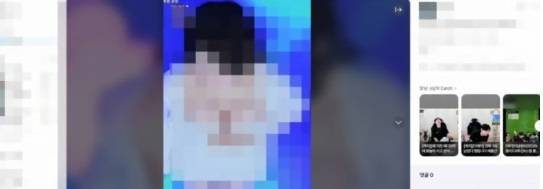 숲tv3/그래픽=이지혜