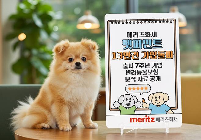 메리츠화재 펫보험 가입자가 지난달 말 기준으로 13만건을 돌파했다./사진=메리츠화재