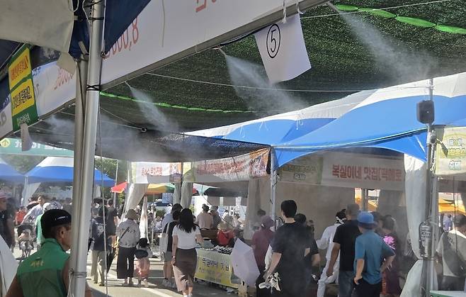 지난 26일 홍천 찰옥수수 축제가 열린 가운데 폭염을 막기 위해&nbsp;설치된 안개 분수가 작동하고 있다. 배상철 기자