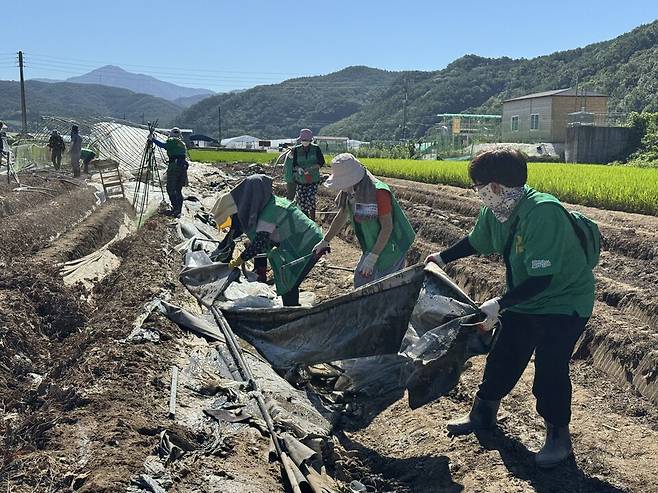 대구 군위군새마을회 회원들이 집중호우로 피해를 입은 경남 합천군 한 농가에서 쓰러진 비닐하우스를 정리하고 있다. ⓒ대구 군위군청 제공